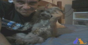 james1373 48 years old I am from Porto Alegre/Rio Grande do Sul, Seeking Dating Friendship with Woman